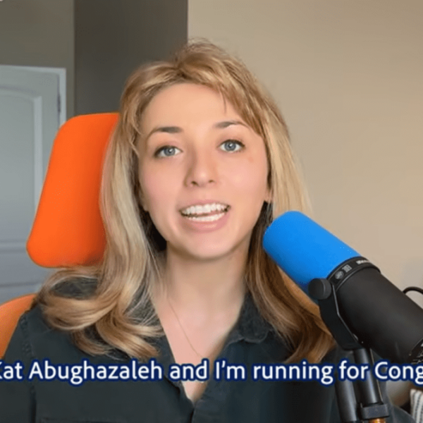 From Target of Musk's Critique to Congressional Hopeful: Gen Z Creator Kat Abughazaleh Takes the Political Stage