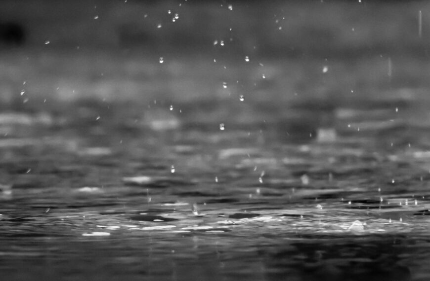 Rain Secures $24.5 Million Funding to Accelerate Global Expansion of Stablecoin Card Services