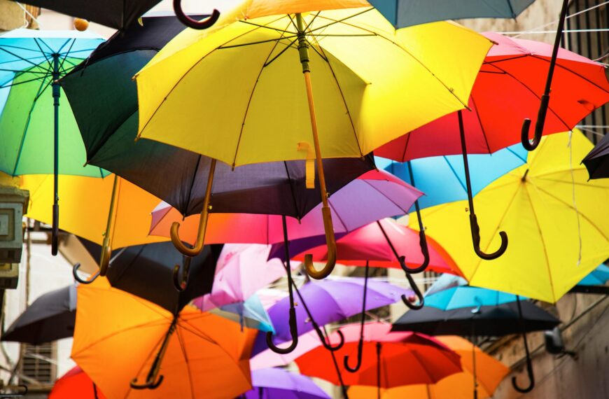 Transforming Insurance: Risk Digitization Emerges as a Top Technology Priority