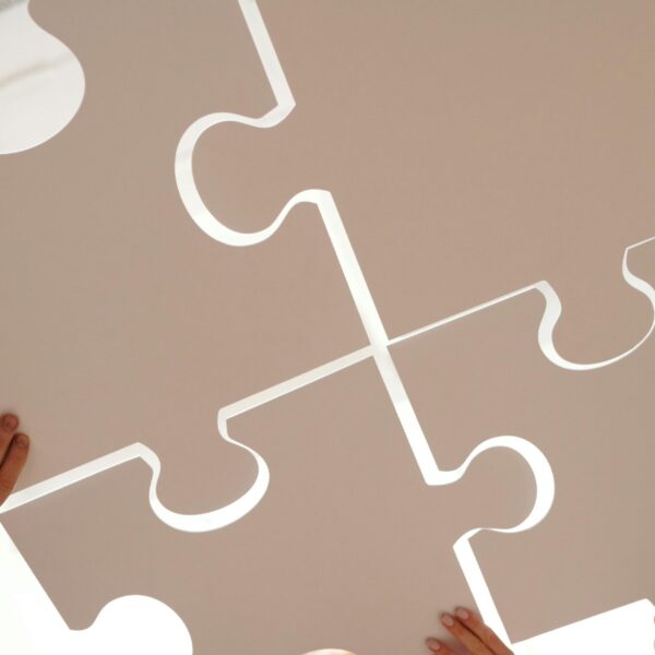 Unlocking InsurTech Success: The Power of Integrated Reserving and Pricing Strategies