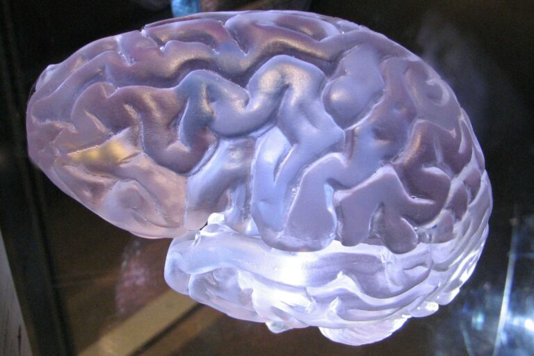 AuthMind Raises $19.3M in Seed Funding Led by Cheyenne Ventures to Revolutionize Identity Protection
