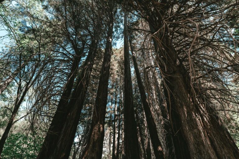 Franklin Templeton Launches Low Tracking Error ESG-Screened Core ETFs for Sustainable Investing