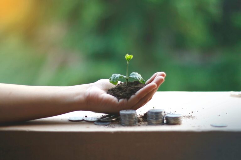 GreenFi Secures $17M to Revolutionize Sustainable Banking and Investment Solutions