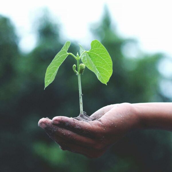 Novata Launches Cutting-Edge ESG Due Diligence Platform for Private Market Investors