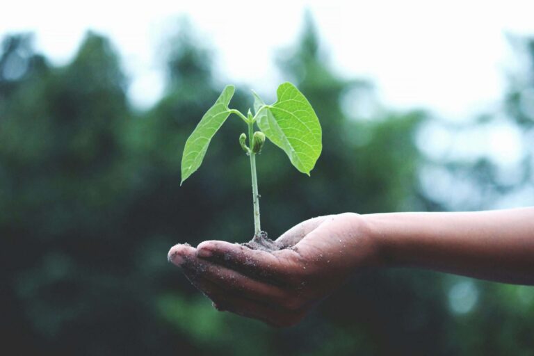 Novata Launches Cutting-Edge ESG Due Diligence Platform for Private Market Investors