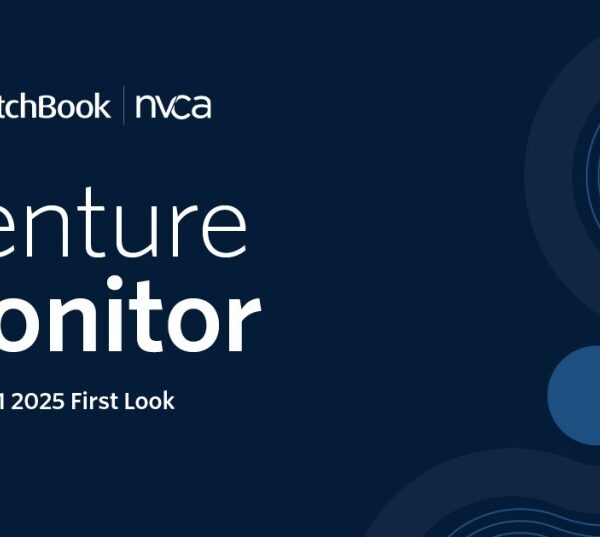Q1 2025 Sees Global VC Investment Deals Decline: Insights and Trends from NVCA