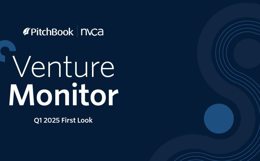 Q1 2025 Sees Global VC Investment Deals Decline: Insights and Trends from NVCA