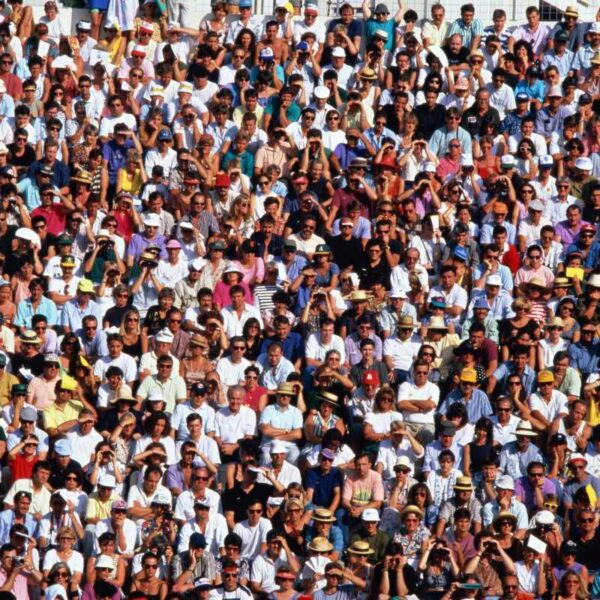 Unveiling the Unexpected: Discover Who Climate-Conscious Consumers Really Are, Insights from Northwind Climate