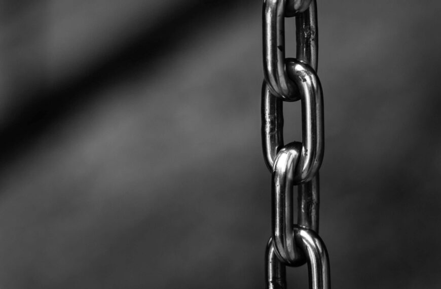 ChainThat Unveils Innovative BPA Platform in Partnership with Cobalt Specialty Across Canada