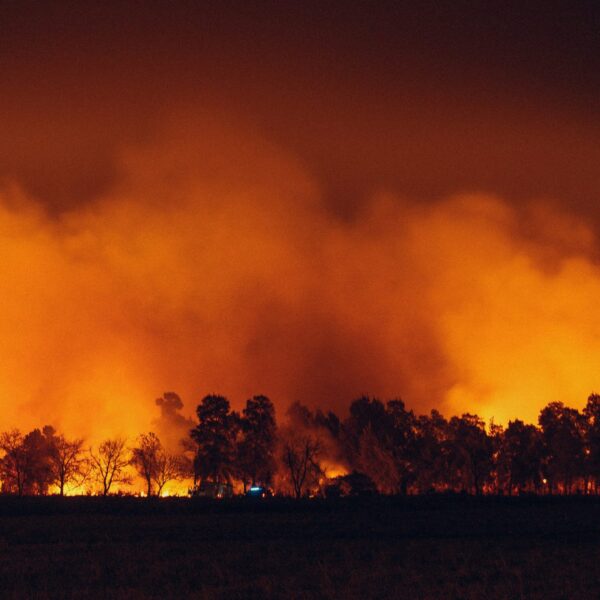 Cytora and Aisix Solutions Join Forces to Equip Insurers with Advanced Wildfire Risk Data