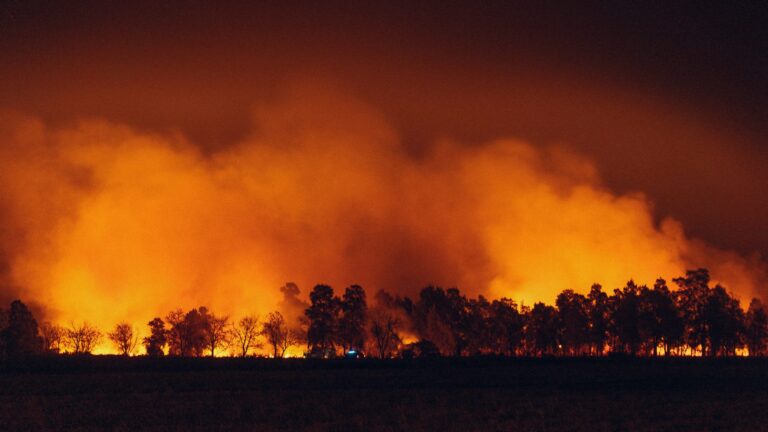 Cytora and Aisix Solutions Join Forces to Equip Insurers with Advanced Wildfire Risk Data