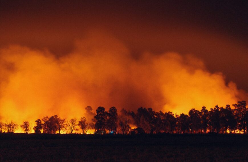 Cytora and Aisix Solutions Join Forces to Equip Insurers with Advanced Wildfire Risk Data