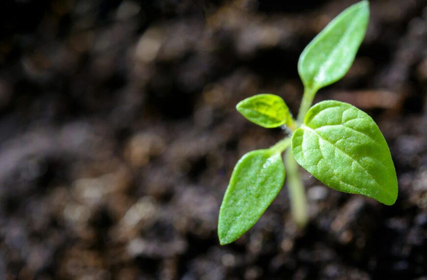 Danske Bank Partners with Position Green to Enhance ESG Strategies for Business Clients