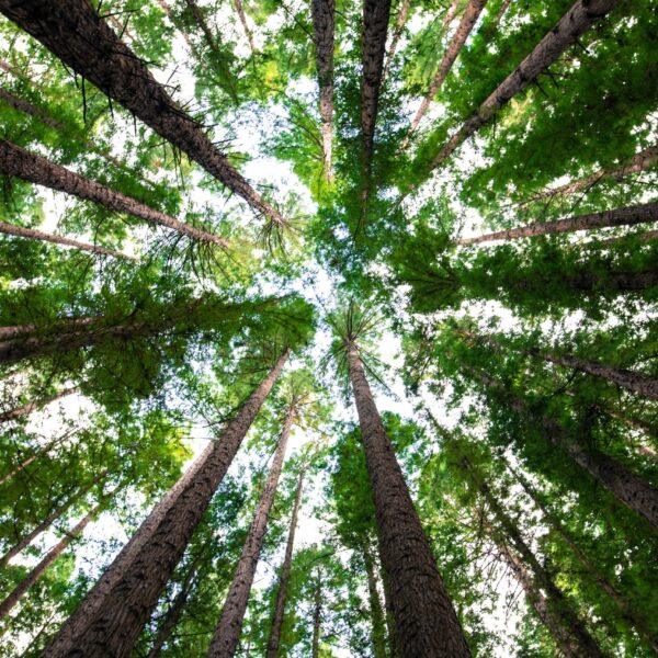 ESMA Seeks Feedback on Draft Standards to Regulate ESG Rating Providers in Europe