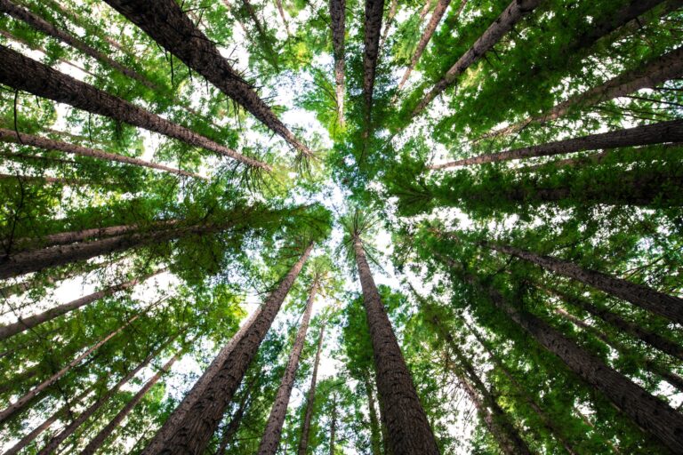ESMA Seeks Feedback on Draft Standards to Regulate ESG Rating Providers in Europe