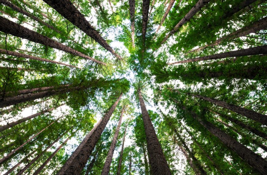ESMA Seeks Feedback on Draft Standards to Regulate ESG Rating Providers in Europe