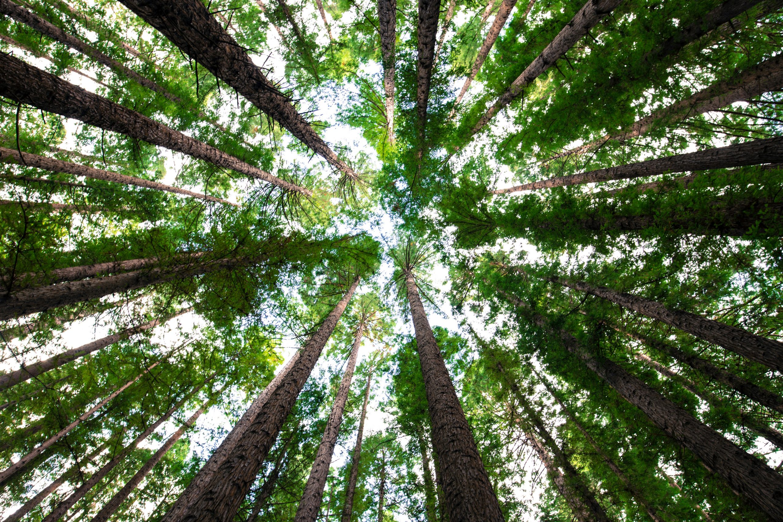 ESMA Seeks Feedback on Draft Standards to Regulate ESG Rating Providers in Europe