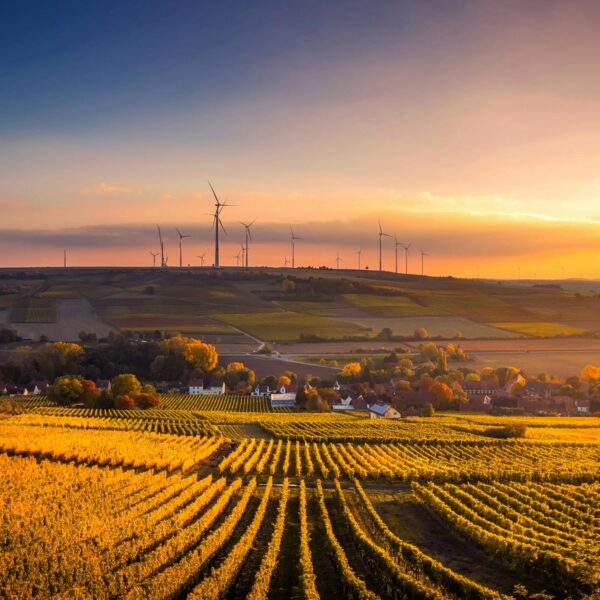 EU Sustainability Data Vulnerability: ECB Warns of Risks Under New Omnibus Plan