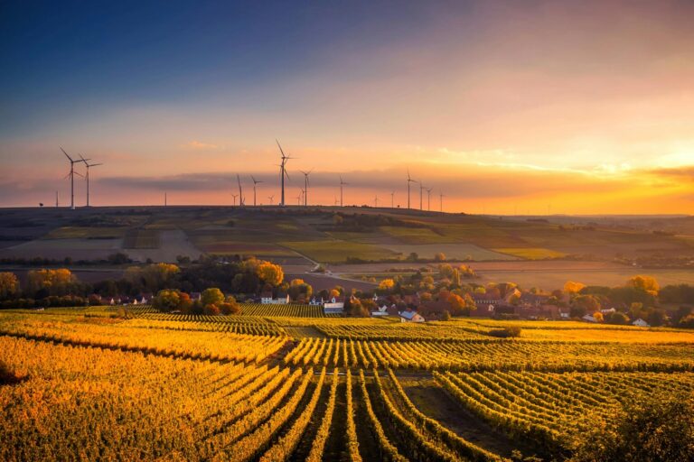 EU Sustainability Data Vulnerability: ECB Warns of Risks Under New Omnibus Plan