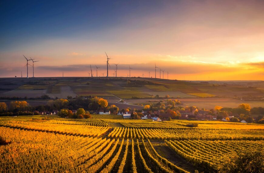 EU Sustainability Data Vulnerability: ECB Warns of Risks Under New Omnibus Plan