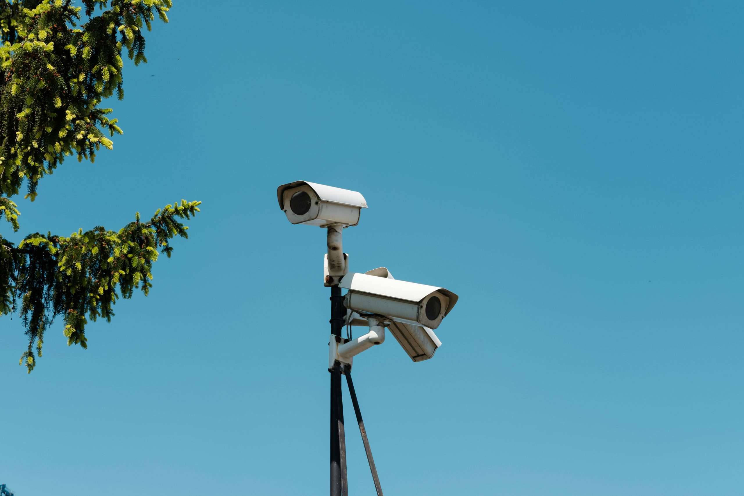 Enhance Compliance Efficiency with KYC Portal's Advanced Pre-Defined Search Lists