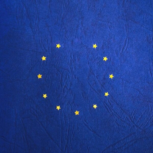 European Parliament Advocates for Enhanced ESG Reporting Standards: Stricter Requirements Ahead