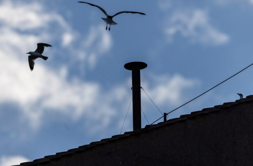 Experience the Papal Conclave: Slow TV at Its Most Captivating!