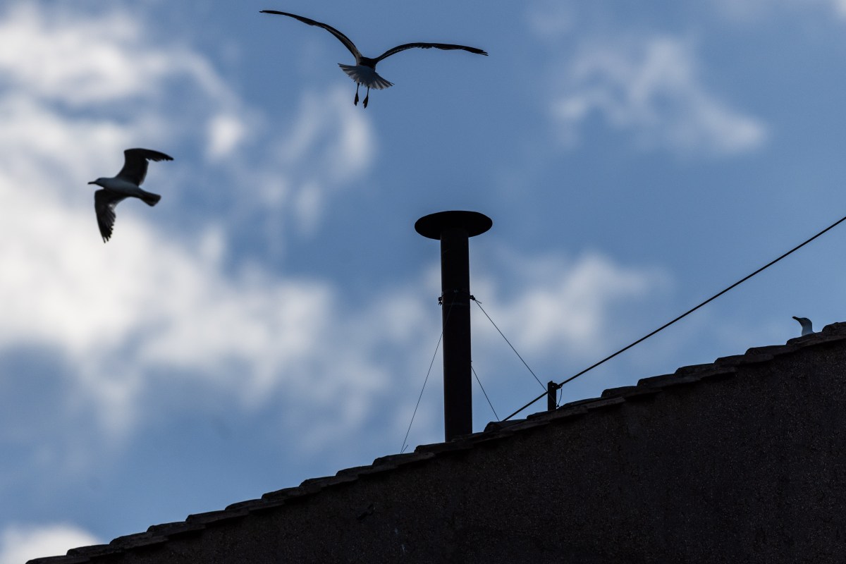Experience the Papal Conclave: Slow TV at Its Most Captivating!