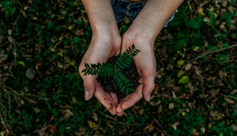 Goparity Secures €2.9M to Revolutionize Ethical Investing with Sustainable Finance Platform