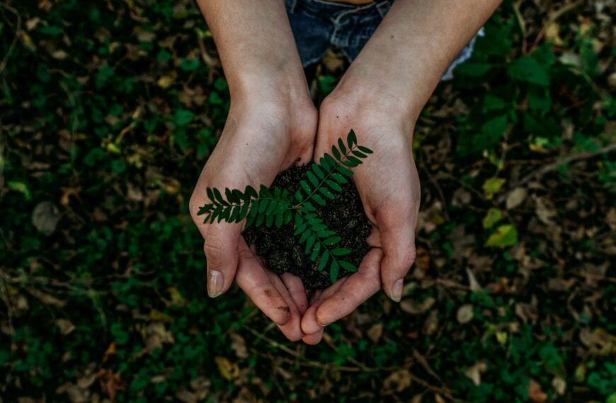 Goparity Secures €2.9M to Revolutionize Ethical Investing with Sustainable Finance Platform