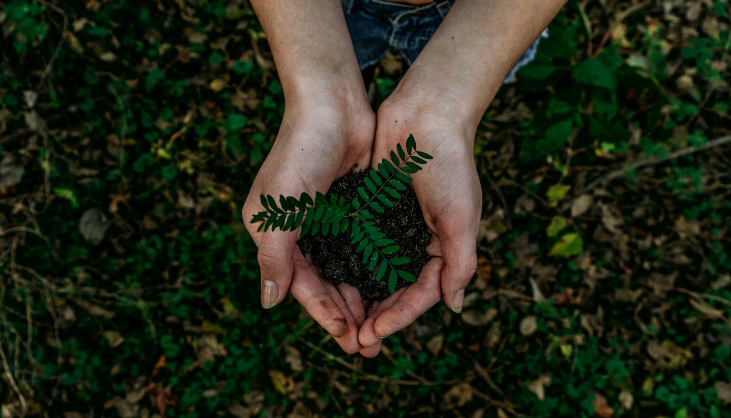 Goparity Secures €2.9M to Revolutionize Ethical Investing with Sustainable Finance Platform