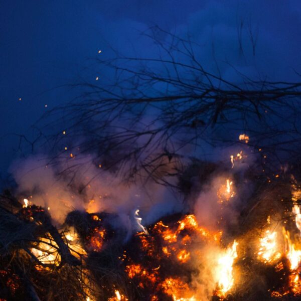 ICE Unveils Innovative Global Solution to Monitor Financial Risks from Wildfires, Floods, and Emissions