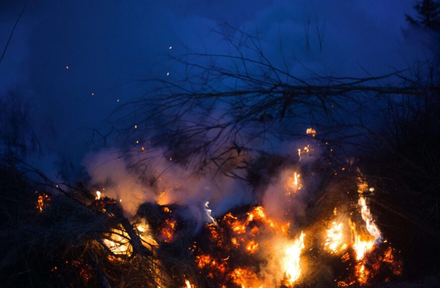 ICE Unveils Innovative Global Solution to Monitor Financial Risks from Wildfires, Floods, and Emissions