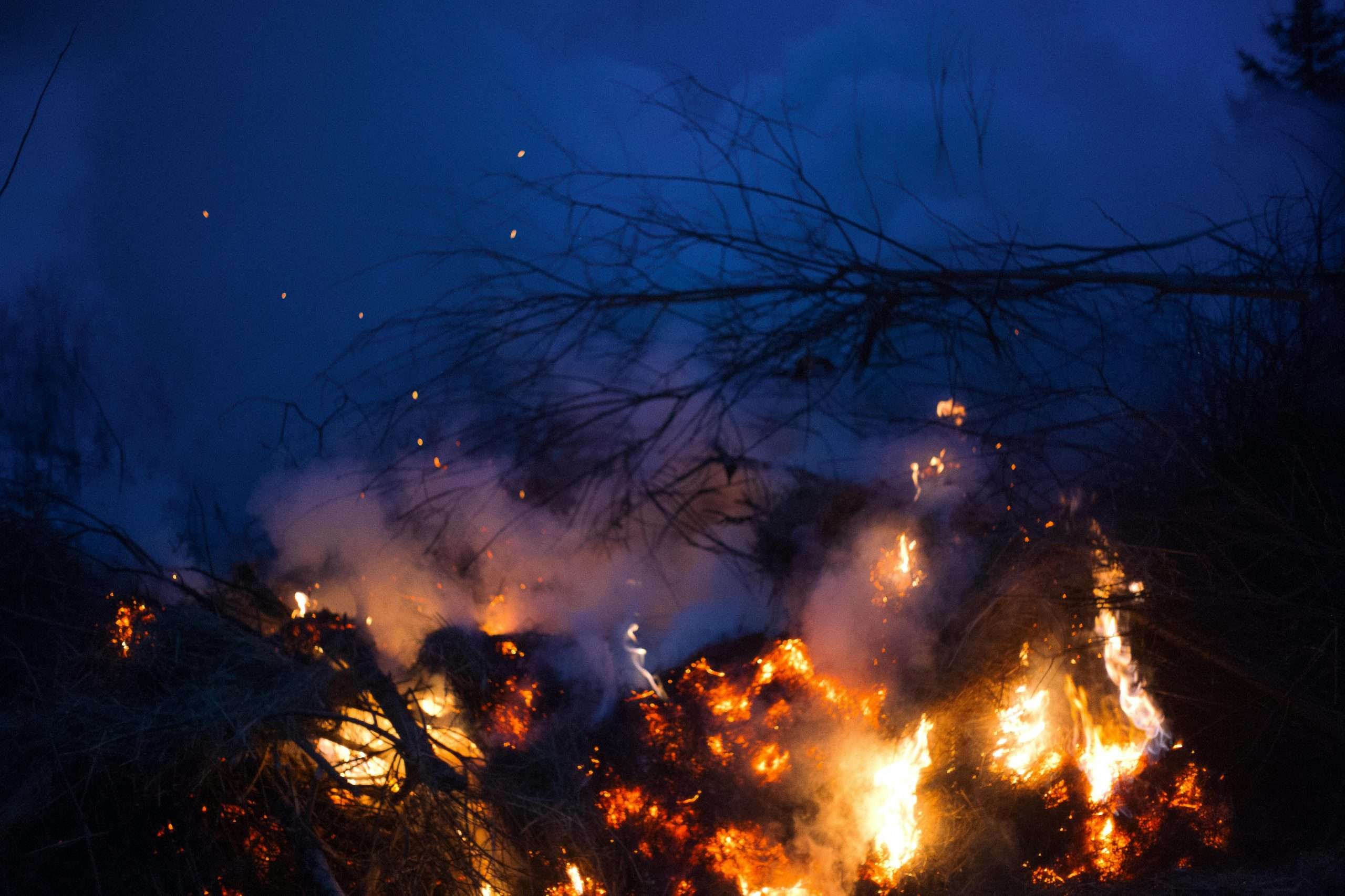 ICE Unveils Innovative Global Solution to Monitor Financial Risks from Wildfires, Floods, and Emissions