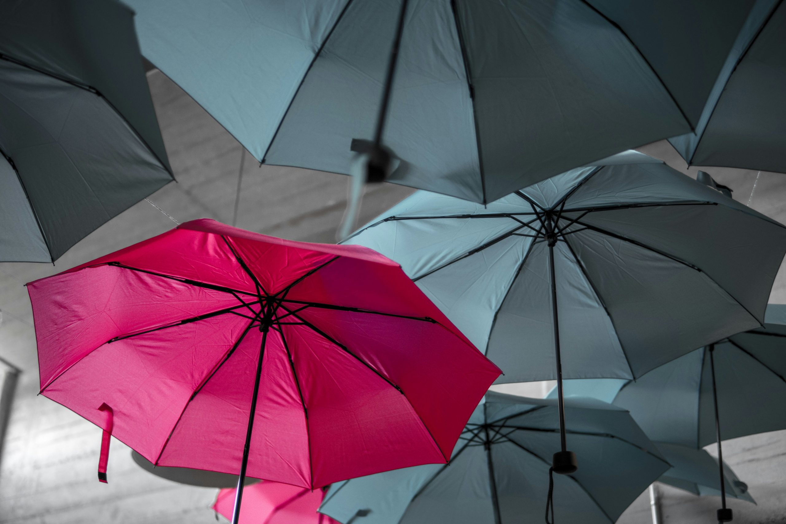 MarvelX Raises $6M to Revolutionize Insurance Operations with Vertical AI Platform