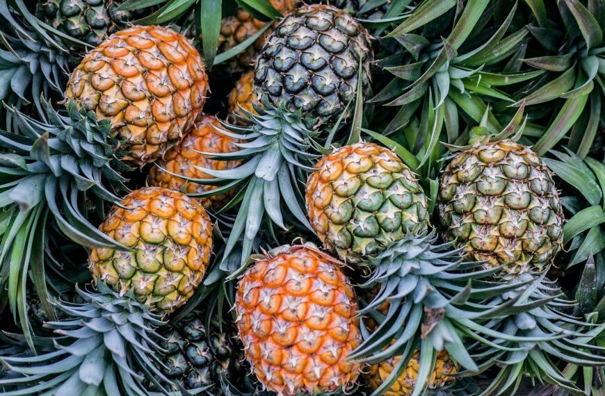 Pineapple Financial Secures $1.5M in Public Offering: A Major Boost for Canadian Mortgage Tech Innovation