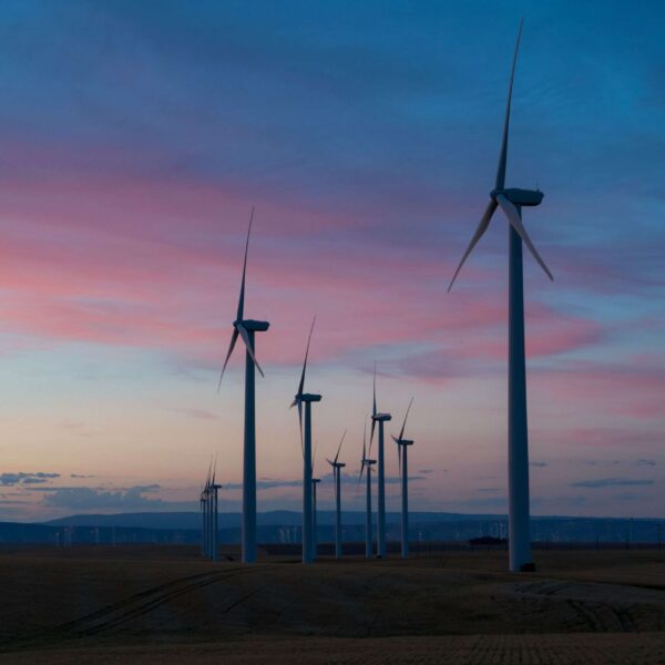 Riverse Secures €5M Funding to Accelerate Engineered Climate Solutions through Innovative Carbon Credit Platform