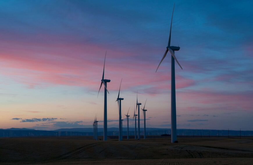 Riverse Secures €5M Funding to Accelerate Engineered Climate Solutions through Innovative Carbon Credit Platform