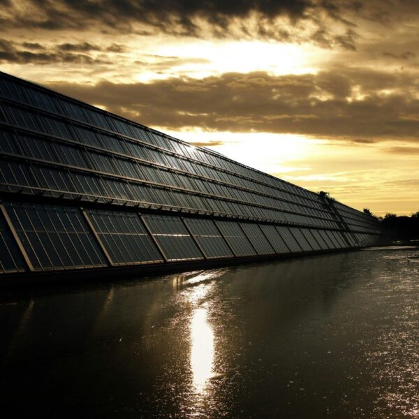 Surge in Sustainable Investing: 88% of Investors Embrace Eco-Friendly Opportunities Across the Globe