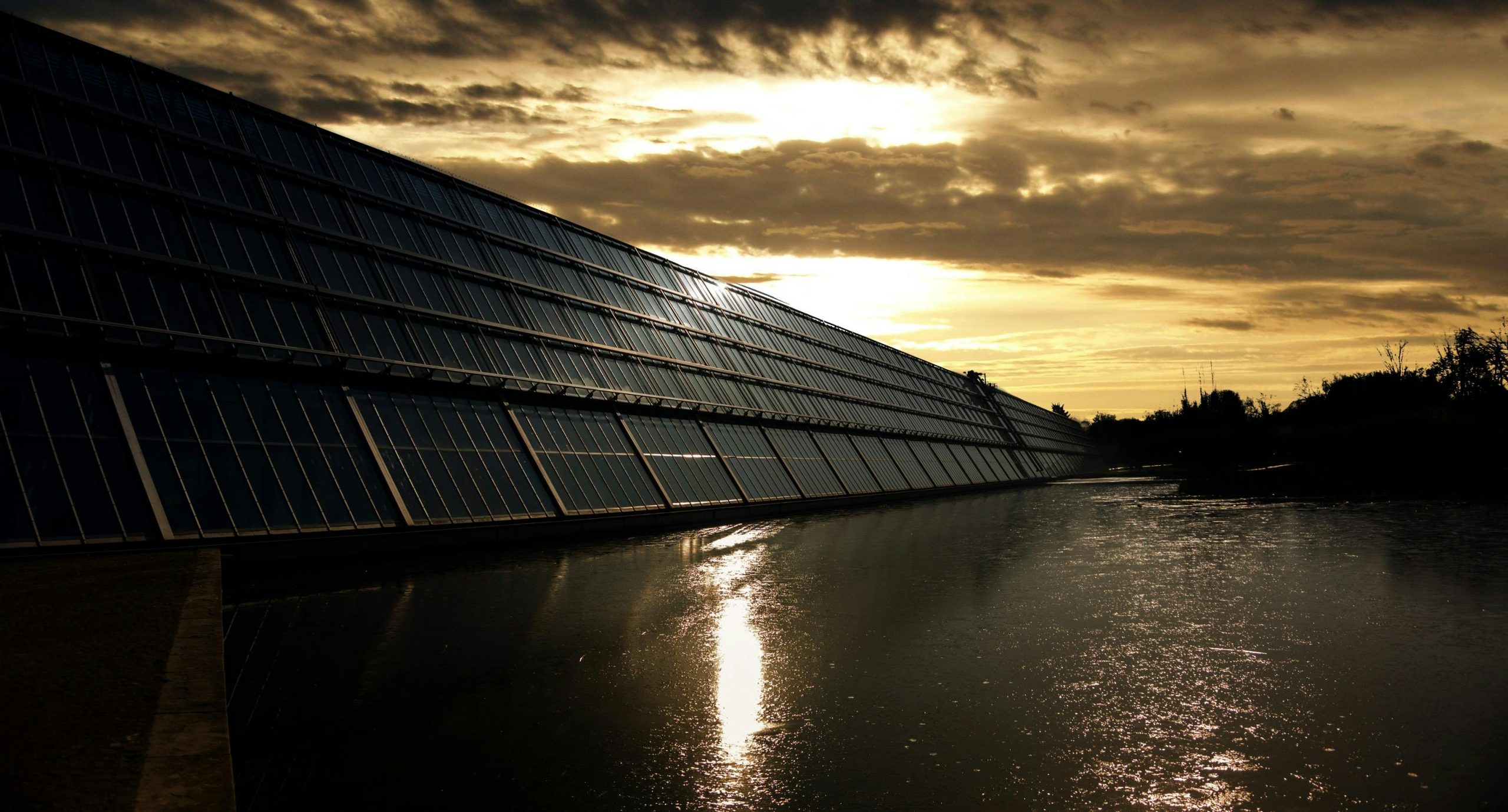 Surge in Sustainable Investing: 88% of Investors Embrace Eco-Friendly Opportunities Across the Globe