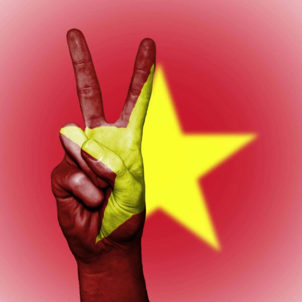Vietnam's PTI Transforms Pricing Strategy with Akur8's Cutting-Edge Machine Learning Platform