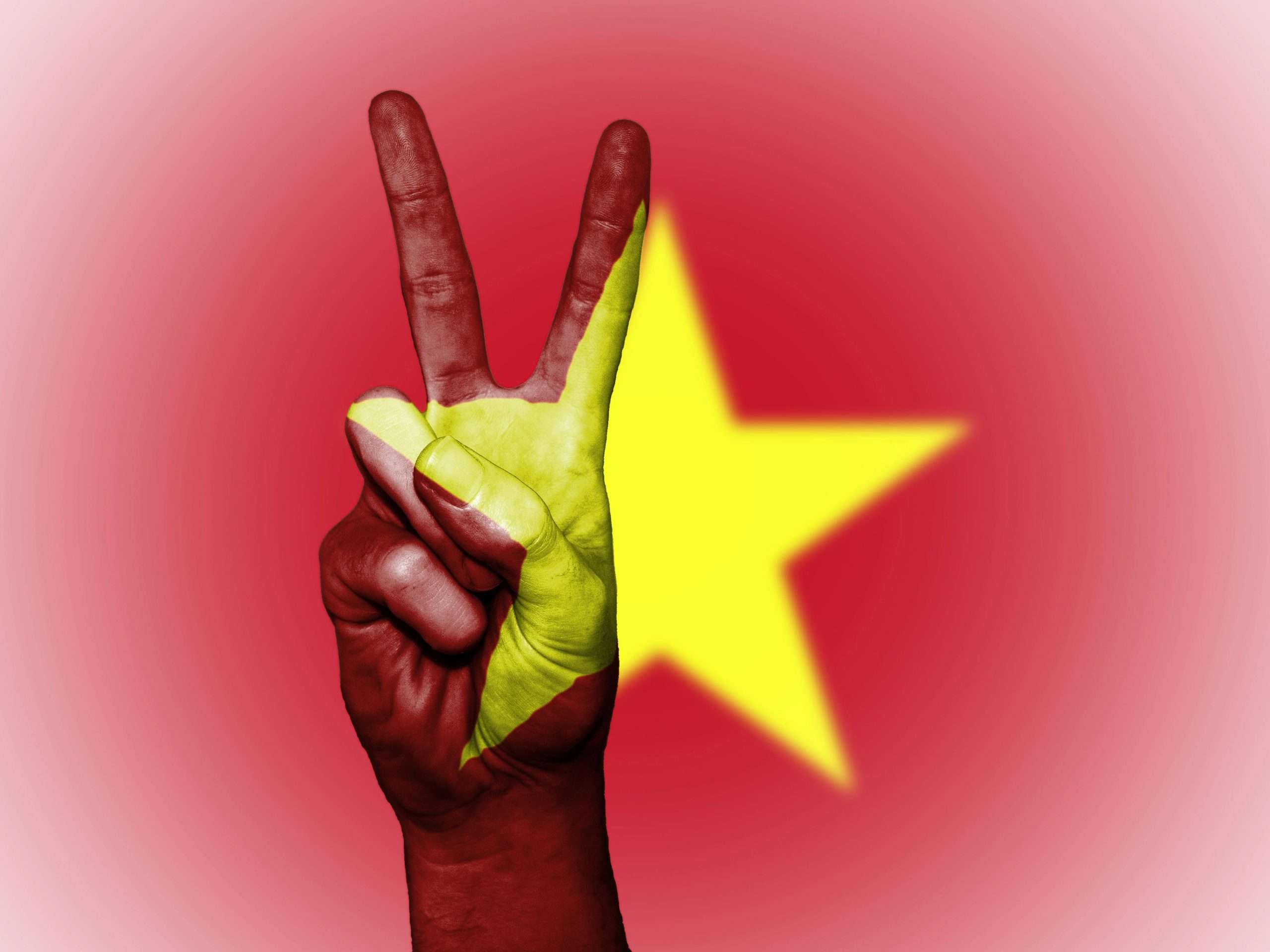 Vietnam's PTI Transforms Pricing Strategy with Akur8's Cutting-Edge Machine Learning Platform