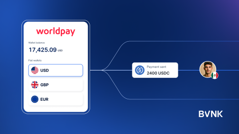 Worldpay Teams Up with BVNK to Revolutionize Stablecoin Payouts