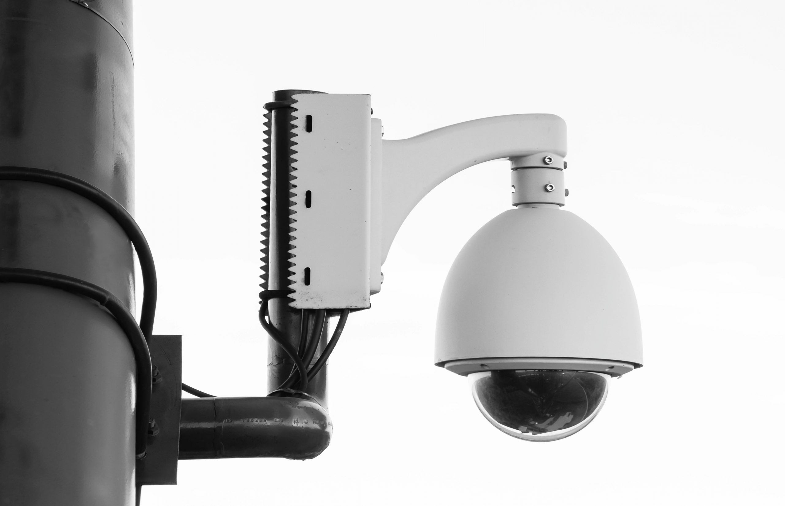 CyberCube and Wholesure Team Up to Revolutionize Cyber Insurance for SMBs
